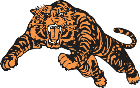Princeton Tigers 1984-Pres Alternate Logo t shirts DIY iron ons